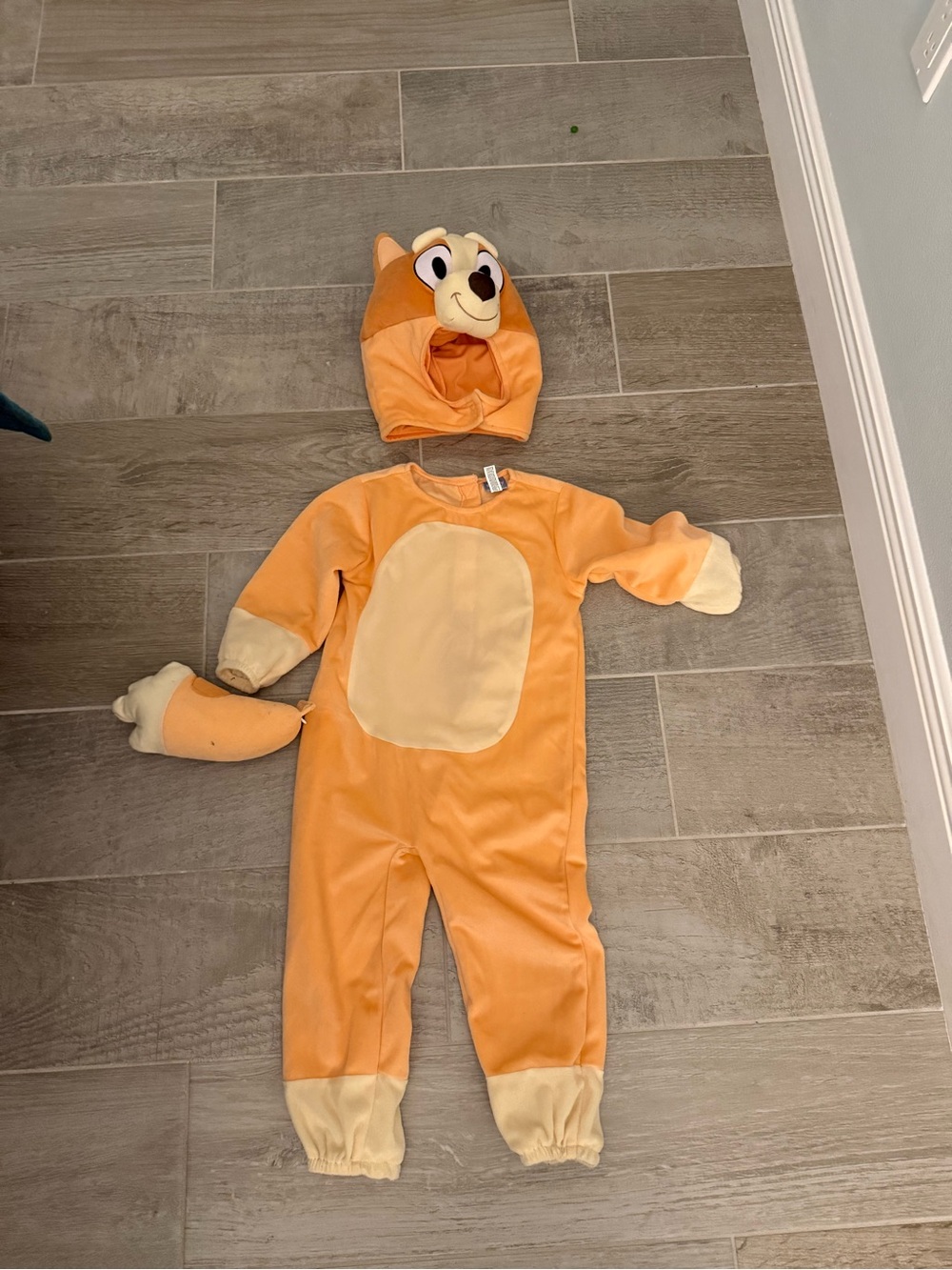 Bingo costume!